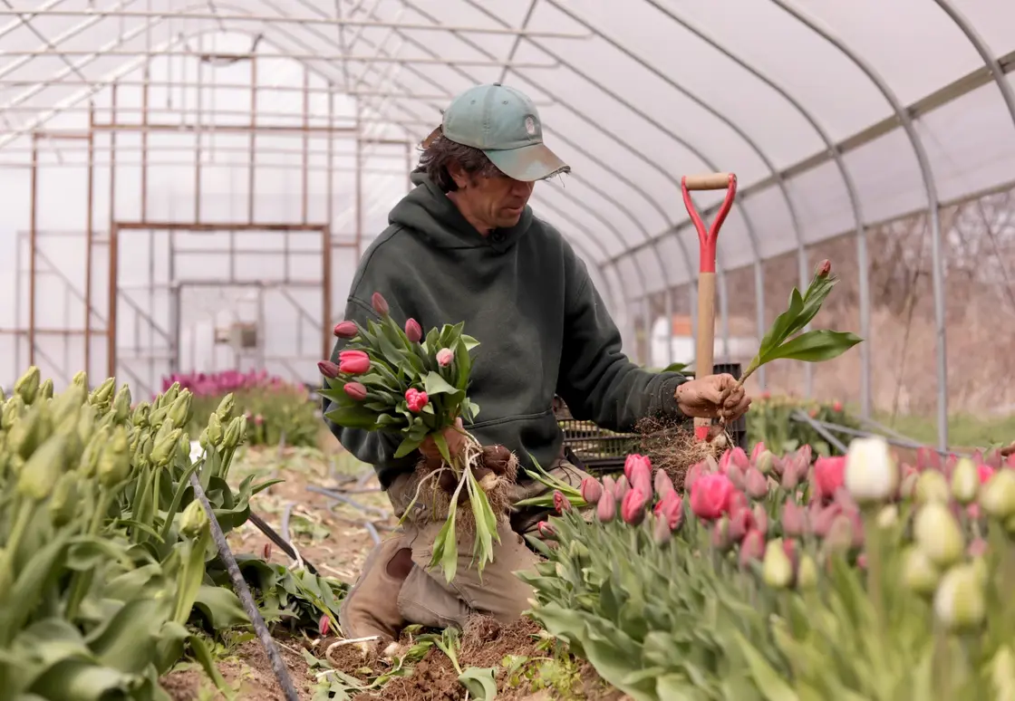Northeast Weather Swings Threaten Crops