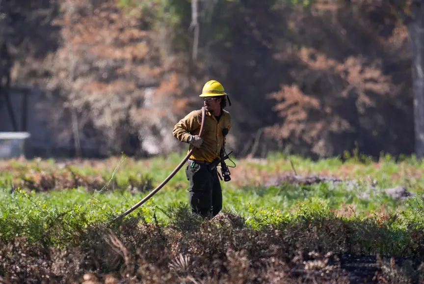Wildfires Surge in Eastern US Amid Climate Shift