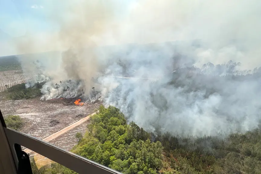 Georgia Wildfire Grows Rapidly, Destroys Dozens of Homes