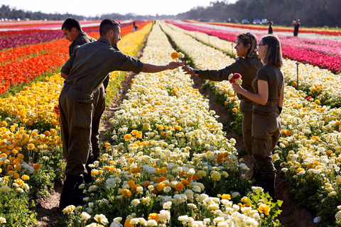 Soldiers in flower field